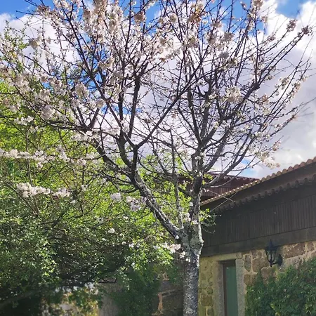 Solar Da Salvadoura * Amares