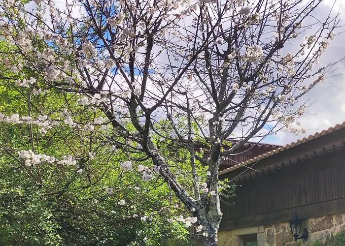 Solar Da Salvadoura * 아마레스